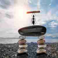 php可‍以‌利‍用​什​么​配﻿置‌项​实​现​自﻿动‌开‍启​session的‌机﻿制​